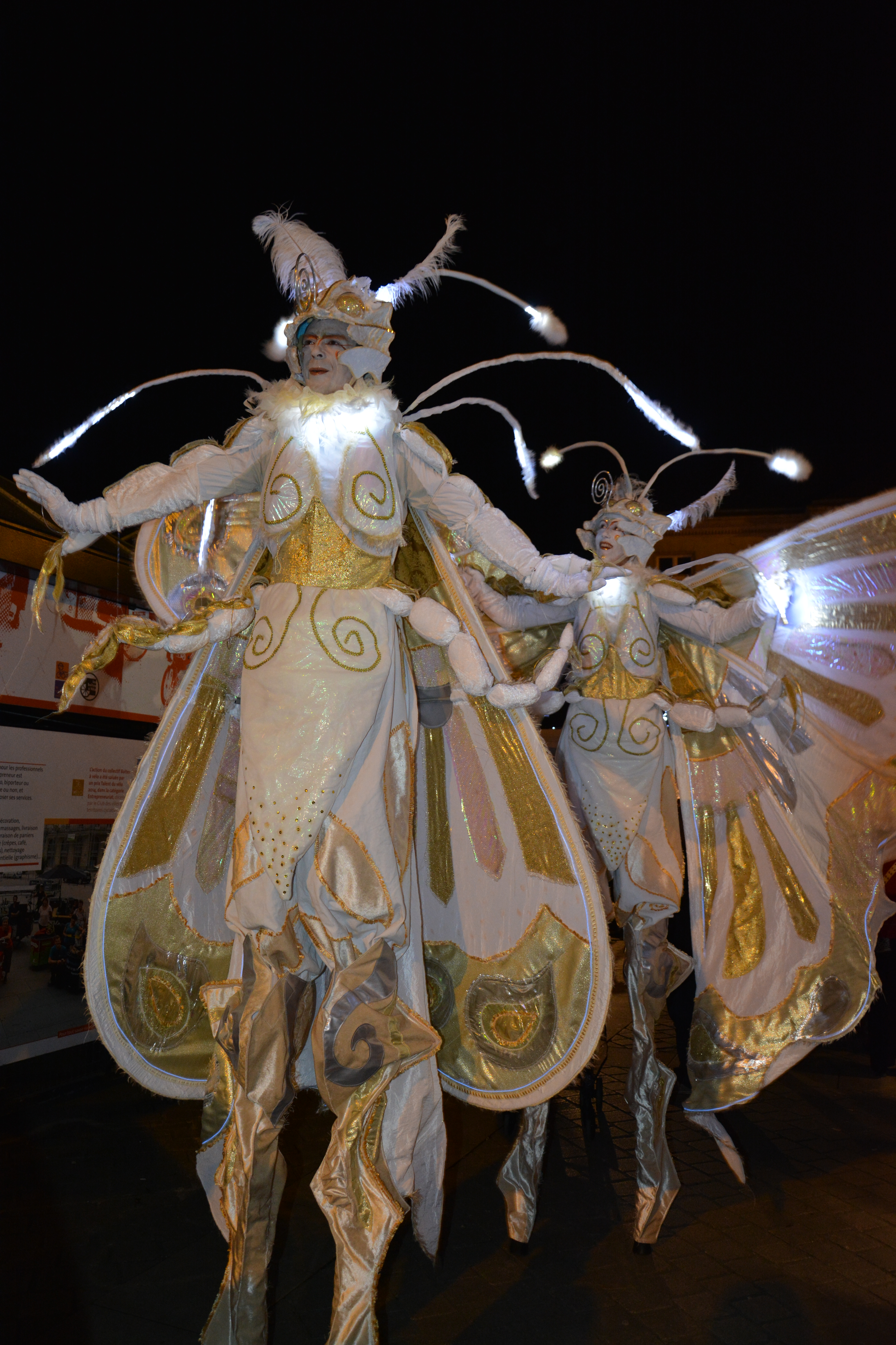 les-phalenes-marche-de-noel-angers-2018